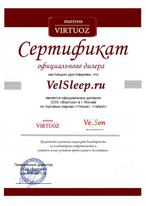 Сертификат официального дилера Velson